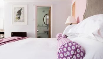 the bird white and purple