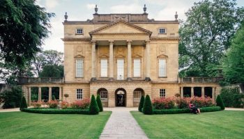 forest of imagination