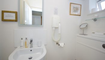 chestnuts hair dryer