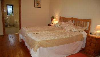 horseshoe cottage gold throws