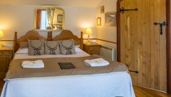 beeches stag cushions