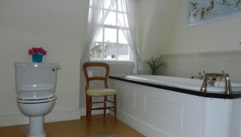 the circus light bathroom