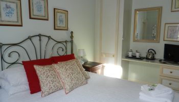 bocks flower cushions