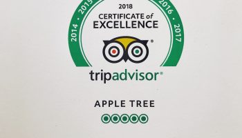 apple tree tripadvisor