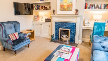 chestnuts blue sofas