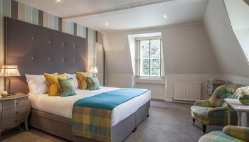 roseate blue and green front