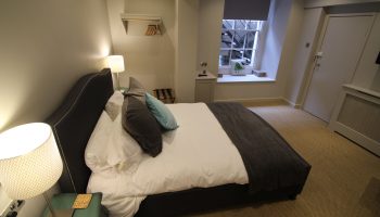 edgar grey double bird cushion