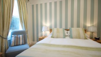 chestnuts blue stripe