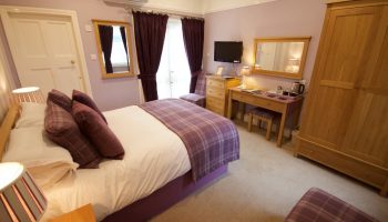 chestnuts double purple tartan