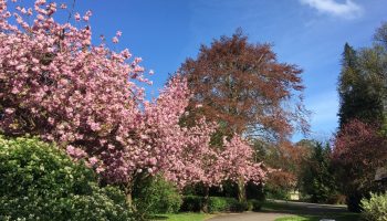 spring events in sydney gardens