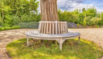 whitely bench