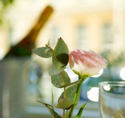 windsoe town house rose