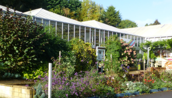 prior park garden centre